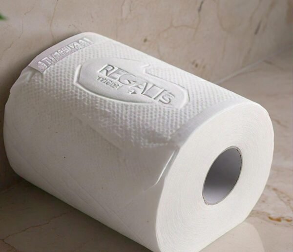 Regalis Kitchen Tissue Roll Towel - Image 2
