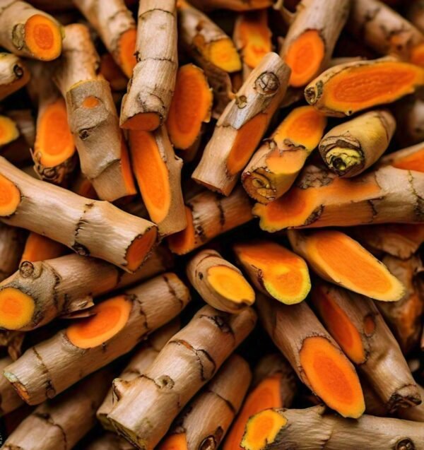 Regalis Raw Turmeric Stick - Image 3