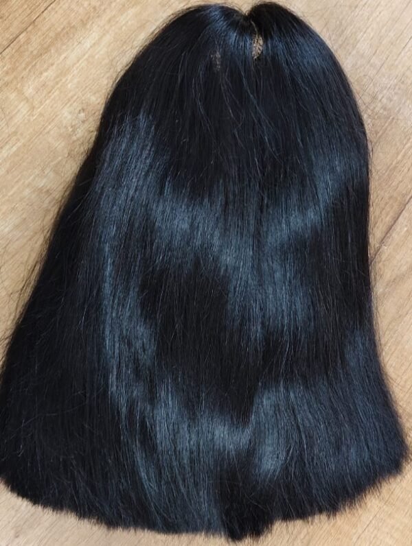 Regalis Hair Wig - 15